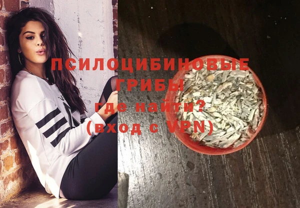 apvp Алзамай
