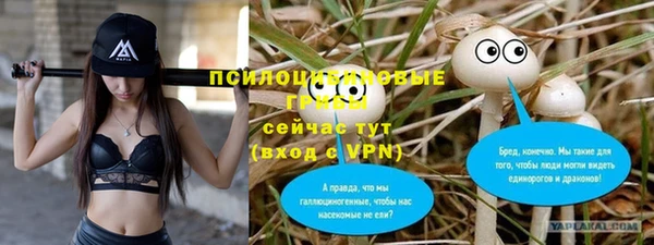 соль ск Алексеевка