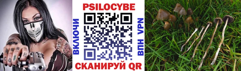 Псилоцибиновые грибы мицелий  где найти наркотики  OMG зеркало  Сурск 