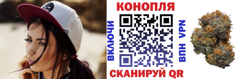 Каннабис ГИДРОПОН Сурск